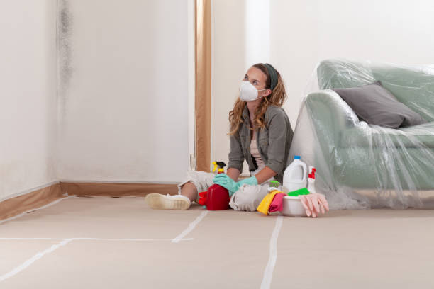Reliable Mold Cleanup contractor in Williamsburg, VA by Cheap Mold Removal